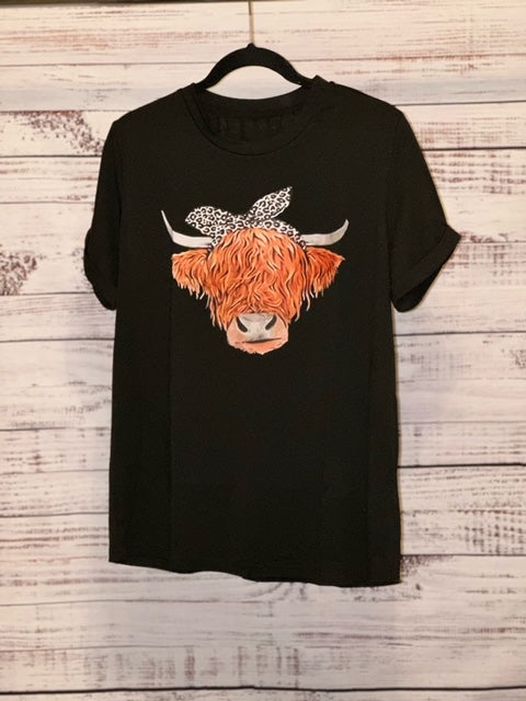 Highland Cow Head